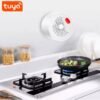 Pemsmart Tuya Smart Natural Gas Sensor with 70dB Alarm