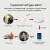 Pemsmart Tuya Smart Natural Gas Sensor with 70dB Alarm
