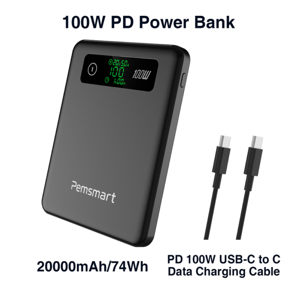 Pemsmart PD-100LS Power Bank